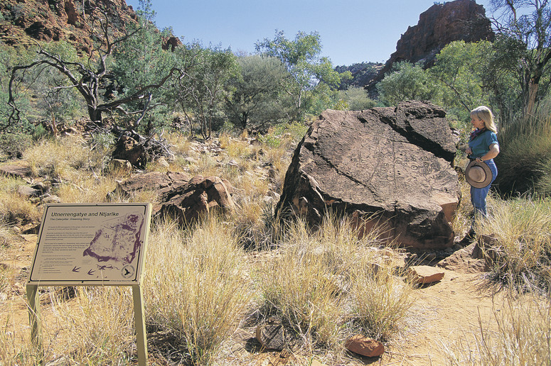 Viewing Petroglyphs at NDhala Gorge Nature -Par
